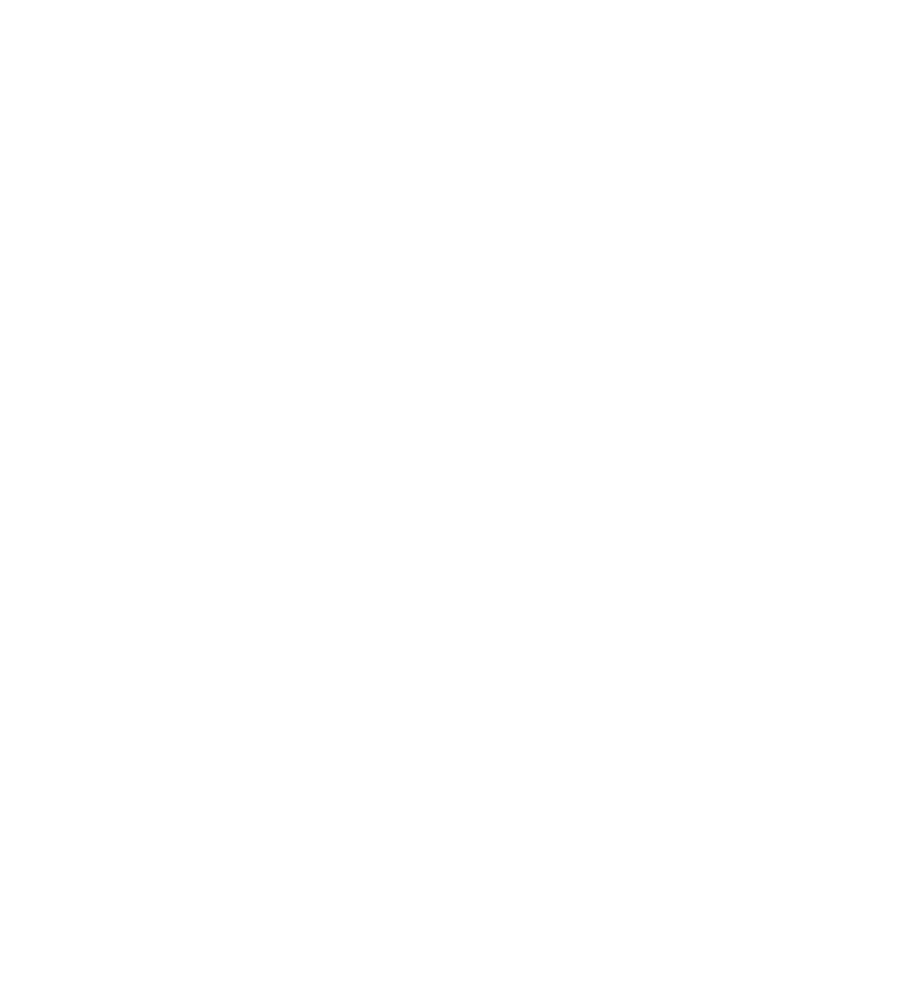 Karosserie Kowollik - karosseri und lackprofi - Profilsymbol